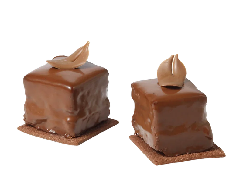 Sacher individual